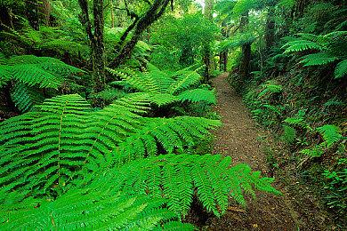 养成游戏《主播女孩重度依赖》Steam版1月21日发售